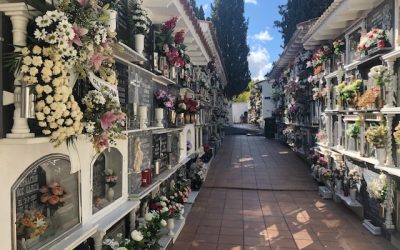 Bando Cementerio con motivo del la festividad de Todos Los Santos