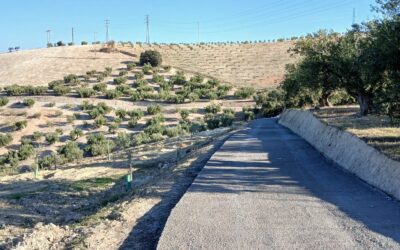 Mejora del Camino de la Cañada de Sevilla